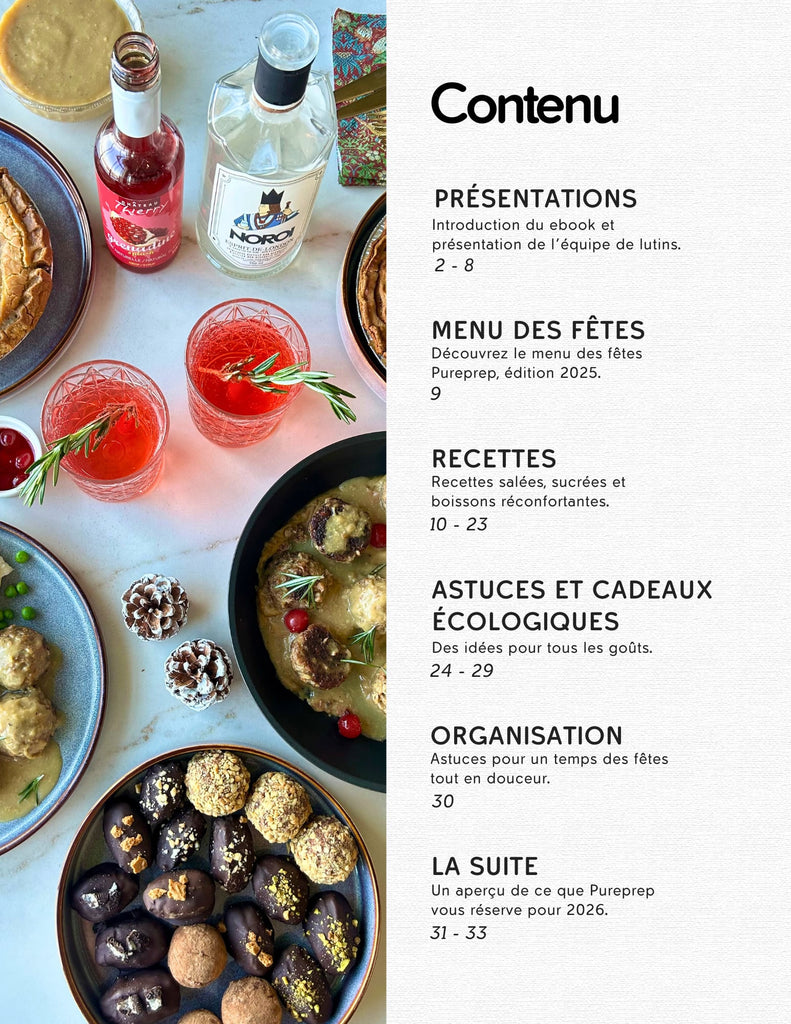 Holiday ebook ✨NOVELTY✨🎄